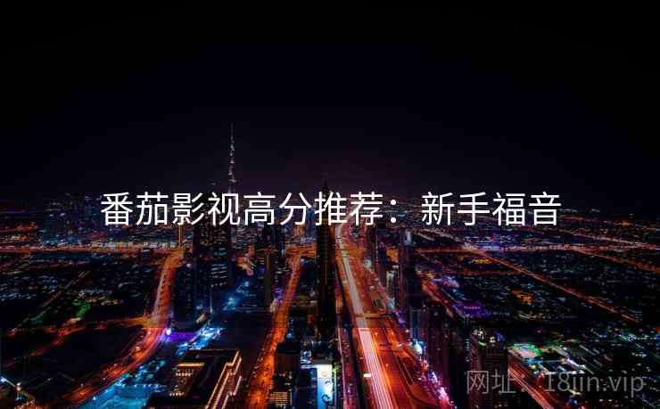 番茄影视高分推荐：新手福音