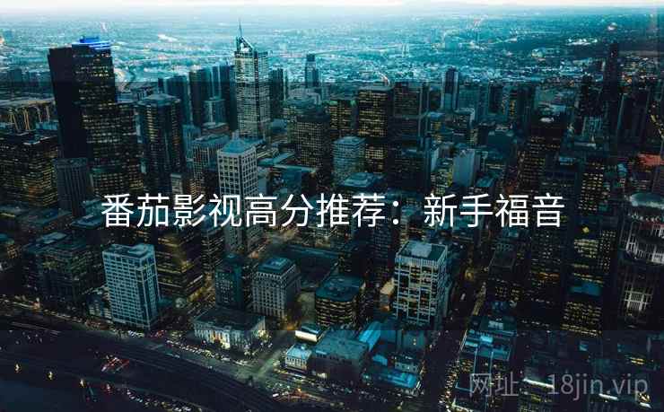番茄影视高分推荐：新手福音