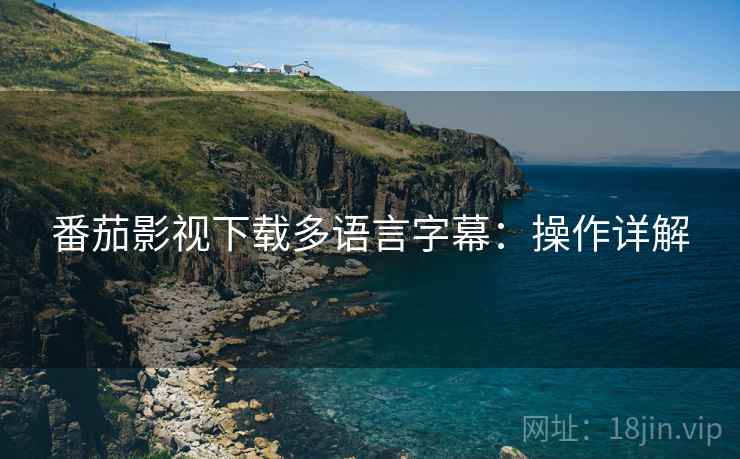 番茄影视下载多语言字幕：操作详解