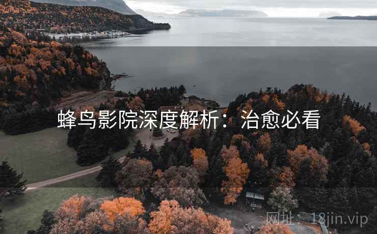 蜂鸟影院深度解析：治愈必看