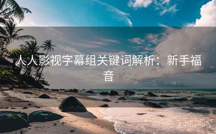 人人影视字幕组关键词解析：新手福音