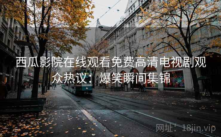 西瓜影院在线观看免费高清电视剧观众热议：爆笑瞬间集锦
